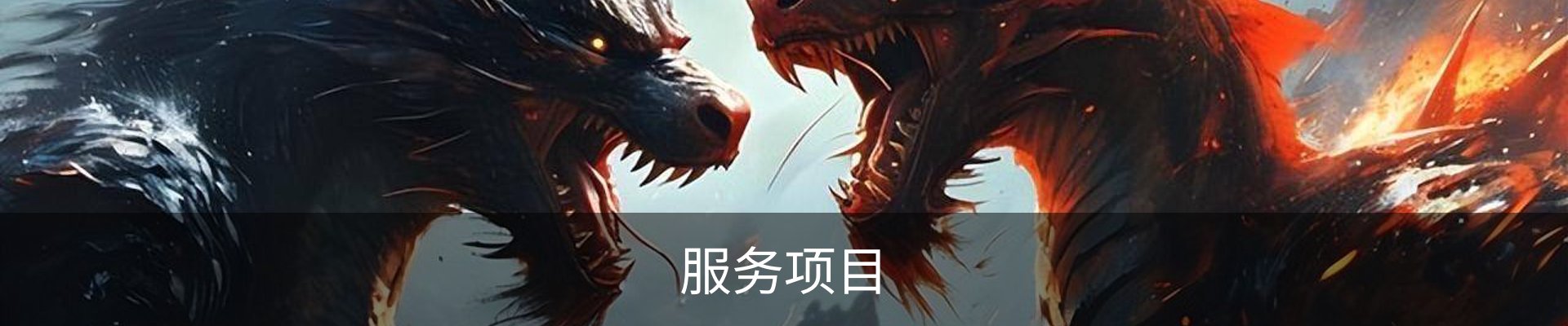 服务项目